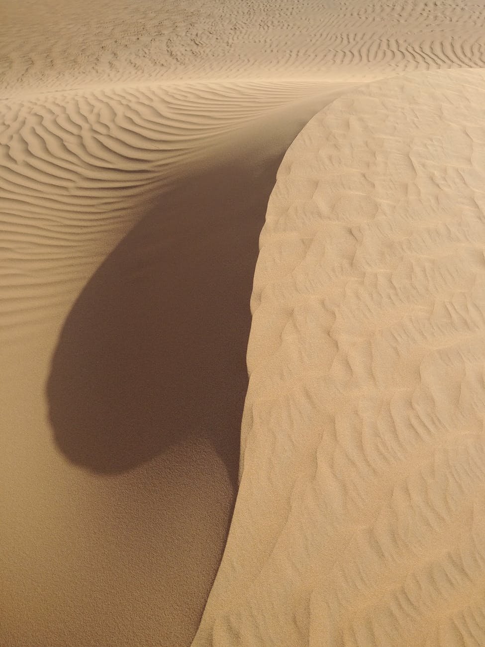 A striking image capturing the elegant curves and shadows of sand dunes in Dubai.